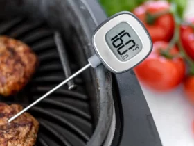 Meat Thermometer