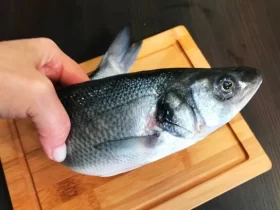How To Fillet A Brook Trout