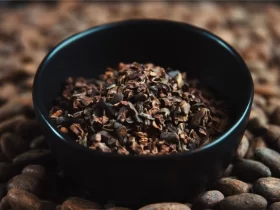 Cacao Nibs